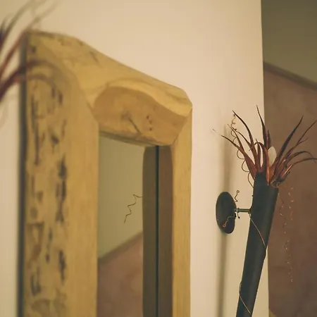 Villa-senta-apartment-3 Appartamento Ostseebad Kühlungsborn